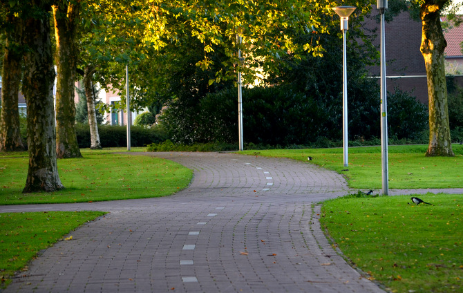 dutch-cycle-path