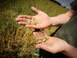 Environmentally Friendly Production For A Greater Biodiversity