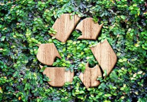 Waste Worries – Trash Reduction Strategies Around the World