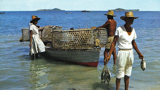 Feeding the World: The Promising Future of Sustainable Aquaculture