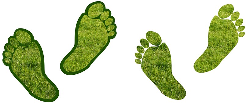 How to Reduce the Carbon Footprint of Your Business?