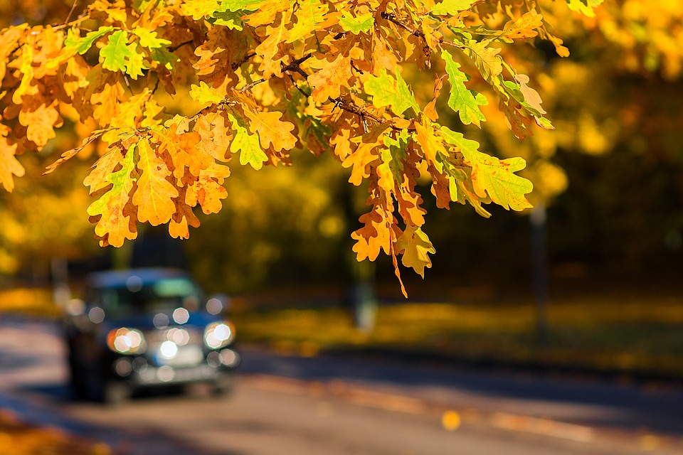 Is the Toyota Prius Still the Pioneering Green Car?