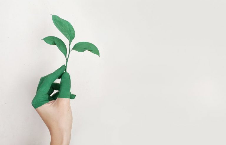 Go Green: 11 Ways to Get Started