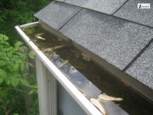 Problems Caused by Clogged Gutters And How They Affect The Environment