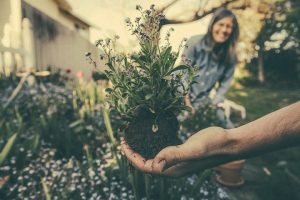 The Essential Practices of Sustainable Gardening