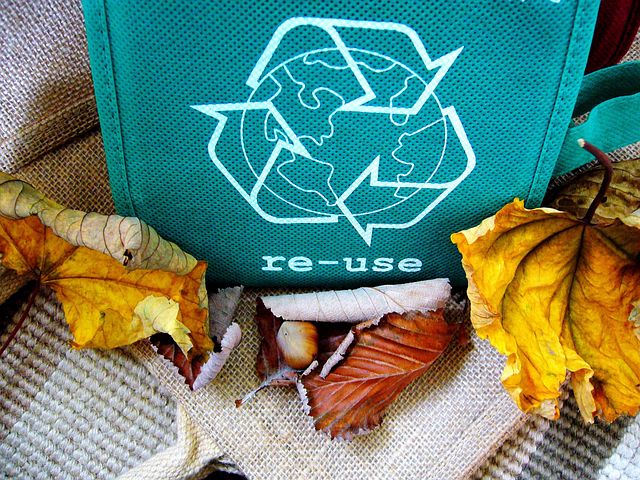 Innovative Ways to Recycle in Your Community