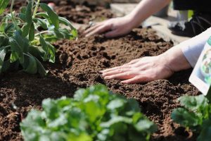 How to Improve the Irrigation at Your Farm