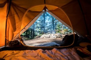 How to Enjoy Camping Without Harming Nature