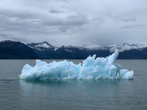 Understanding The Connection Between Climate Change And Infectious Diseases