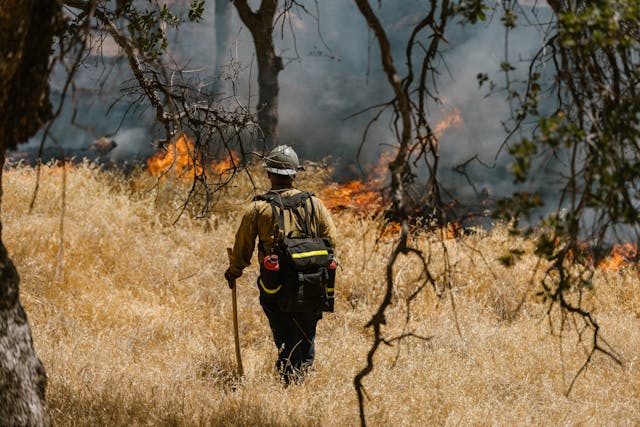 California Wildfires