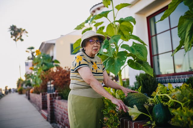 Growing Green Pumpkins