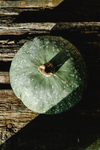 The Green Pumpkin: A Unique Twist on a Classic Fall Favorite