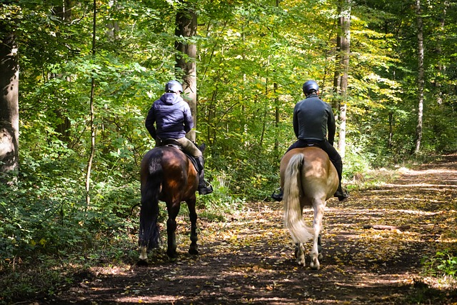 Horseback Riding