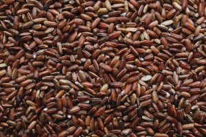 The Journey of Organic Brown Rice: From Farm to Table