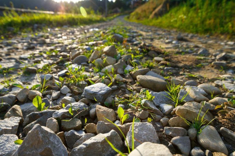 Creating a Natural Oasis: River Rock for Landscaping Techniques