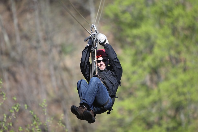 zip-line-896830_640