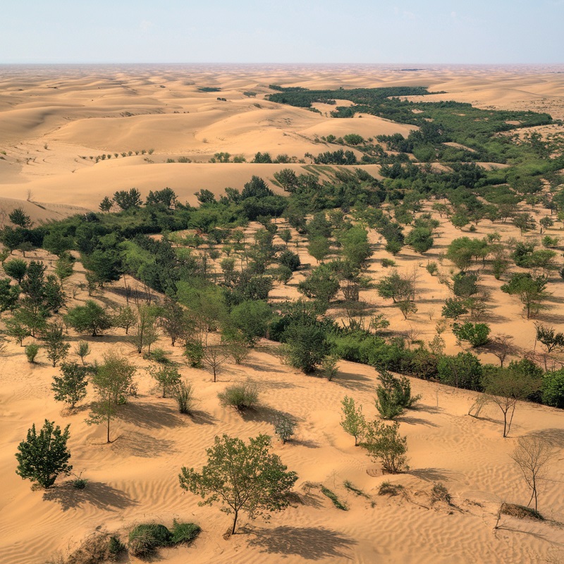 Transformation of China's Kubuqi Desert