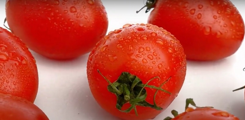 roma tomato storage