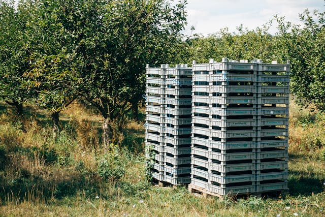 Plastic pallets