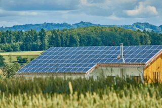 How to Harness Solar Power for Sustainable Chicken Farming