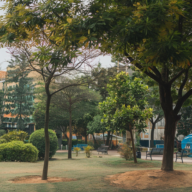 Bengaluru_gardencity