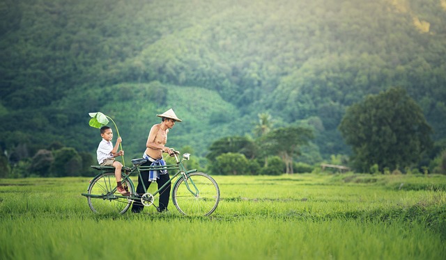 Cambodia Agroforestry