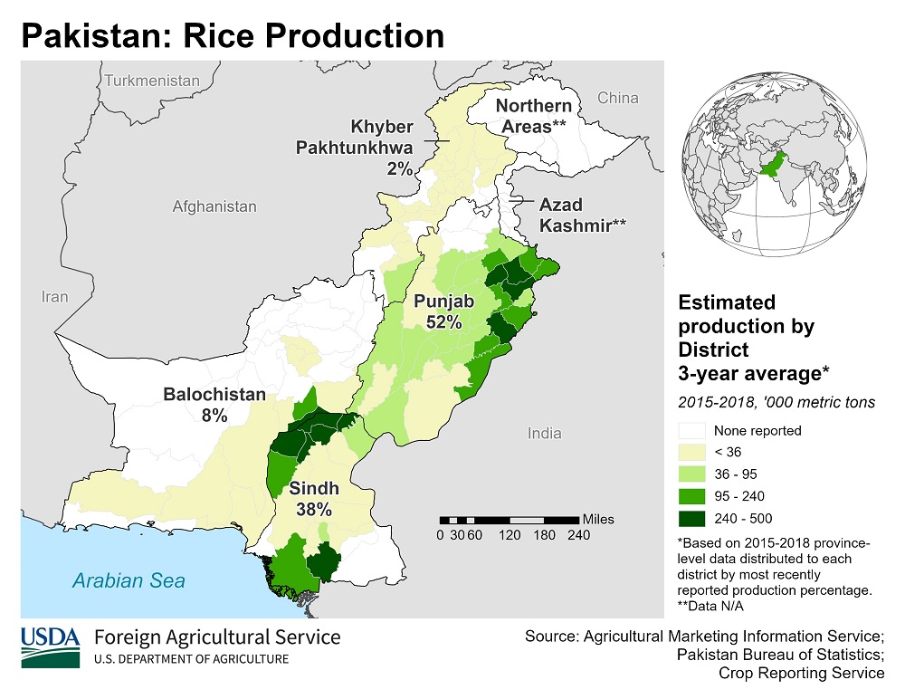 Pakistan rice production map