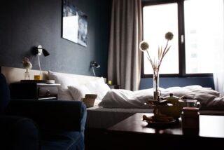 Sustainable Stays for Safe Travels: Top Eco-Lodges and Green Hotels in the USA