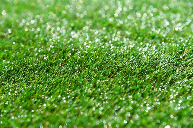 Artificial Turf