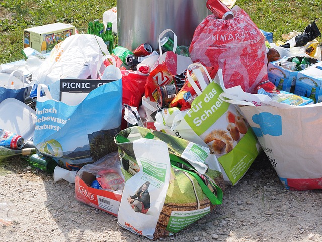 Guide to Waste Sorting: Easy and Simple Steps
