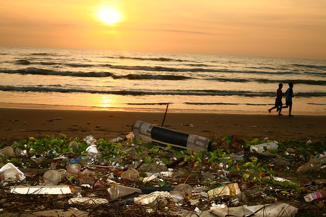 How Everyday Consumer Choices Impact Environmental Conservation